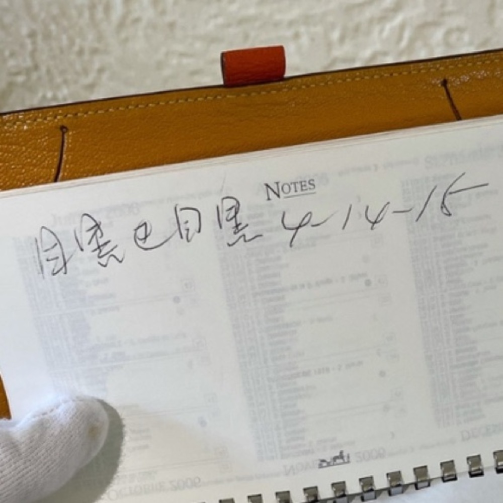 authentic HERMES agenda - Picture 9 of 9